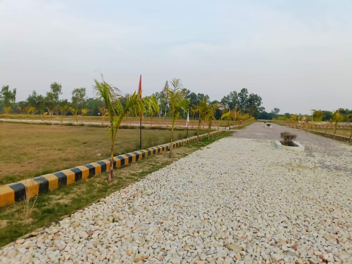 Plots Near Gosaiganj Market