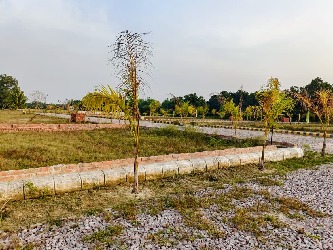 Plots Near Gosaiganj Market