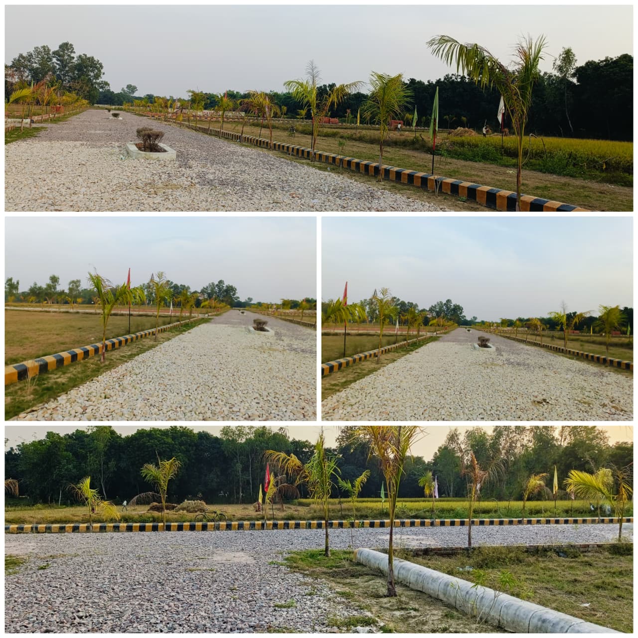Plots Near Gosaiganj Market