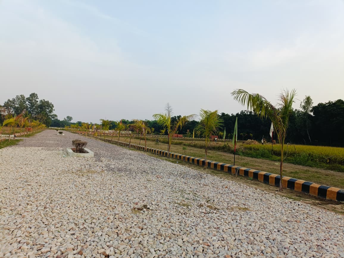 Plots Near Gosaiganj Market