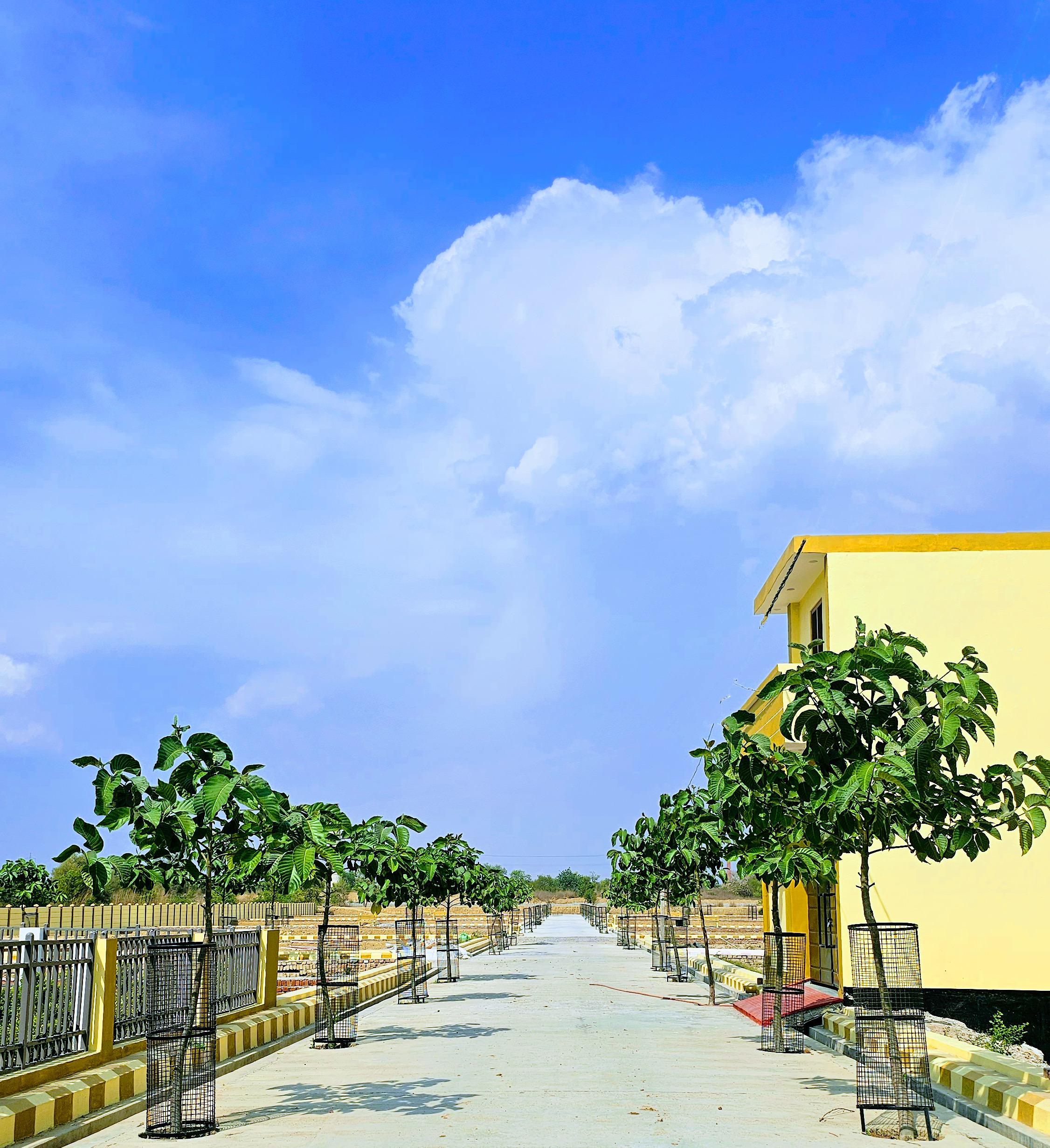 Plots Near Banthra Market